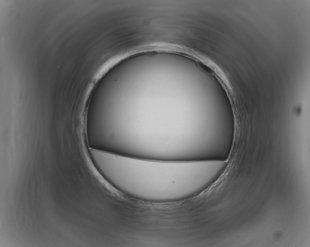 X0000098031381200803280721