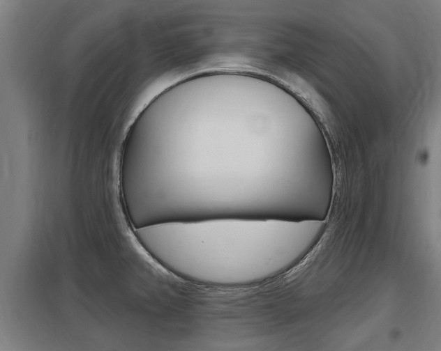 X0000098031382200803280721
