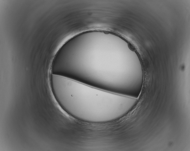 X0000098031383200803280721