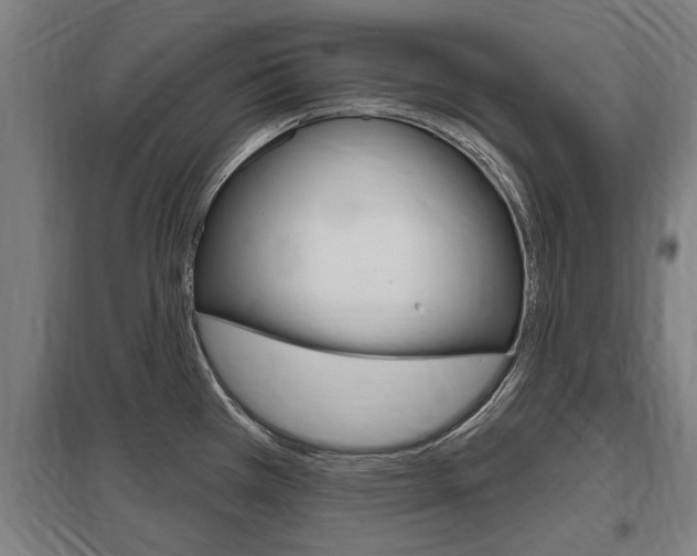 X0000098031385200803280720