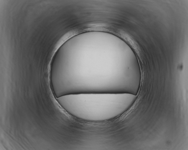 X0000098031386200803280720