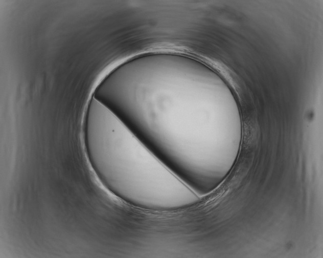 X0000098031387200803280720