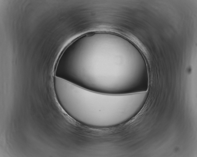X0000098031388200803280720