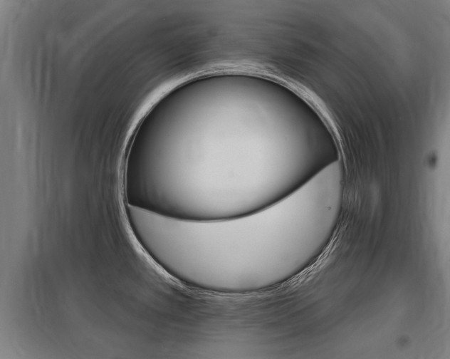 X0000098031389200803280720