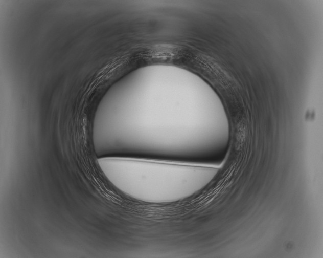 X0000098031394200803280719