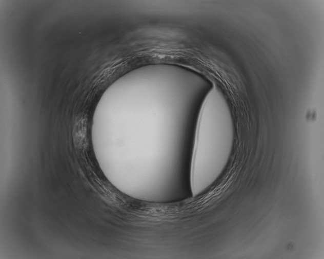 X0000098031396200803280719