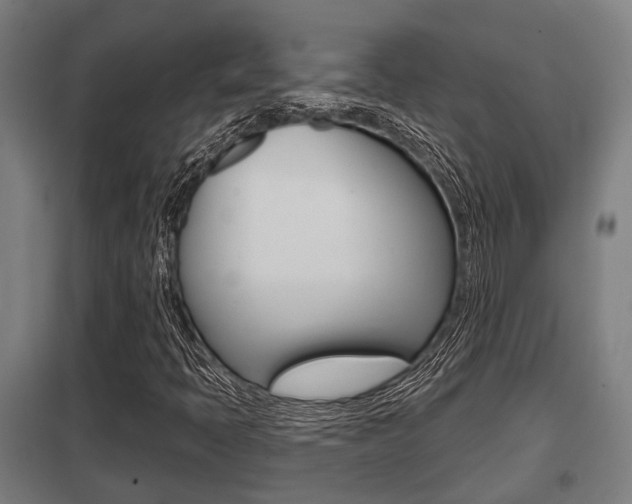 X0000098031397200803280719