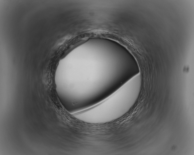 X0000098031398200803280719