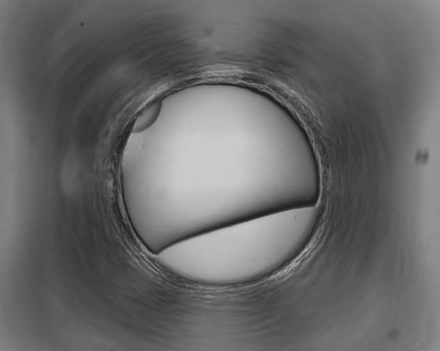 X0000098031401200803280720