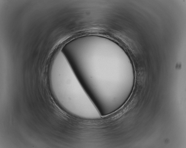 X0000098031402200803280720