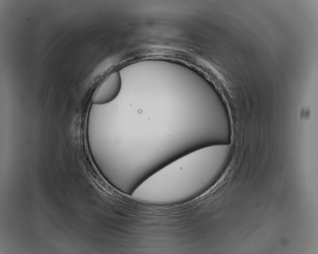 X0000098031403200803280720
