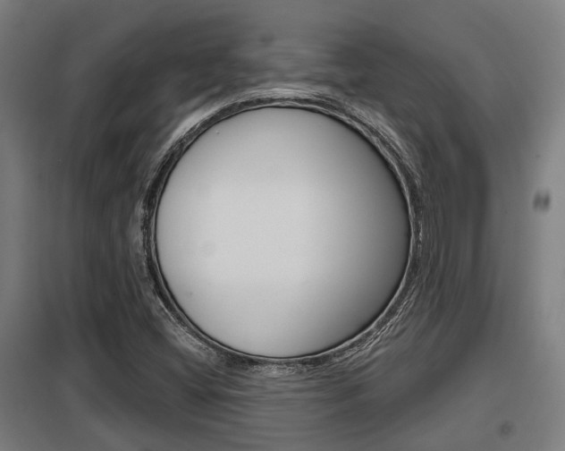 X0000098031404200803280720