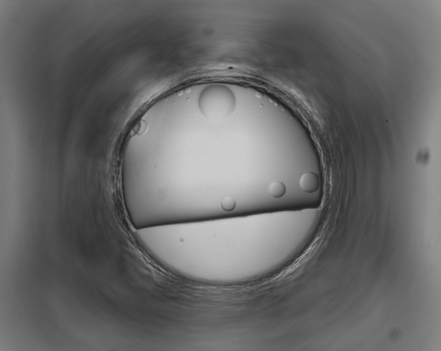 X0000098031405200803280720