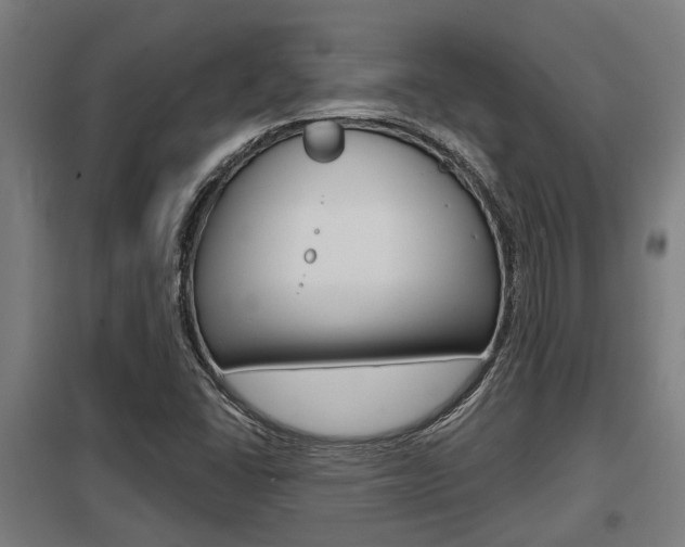 X0000098031406200803280720
