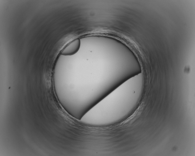 X0000098031409200803280720
