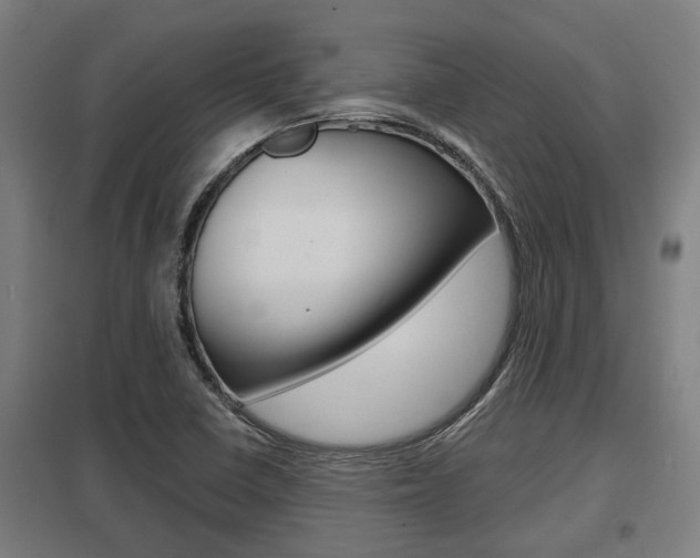 X0000098031410200803280720