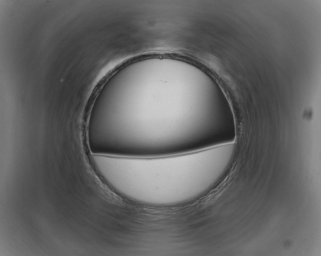 X0000098031412200803280720