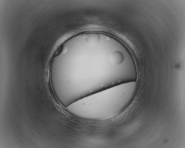X0000098031413200803280720