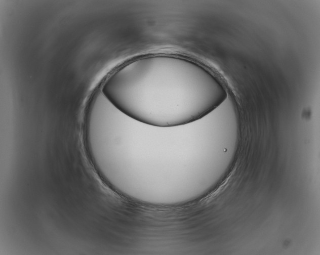 X0000098031414200803280720