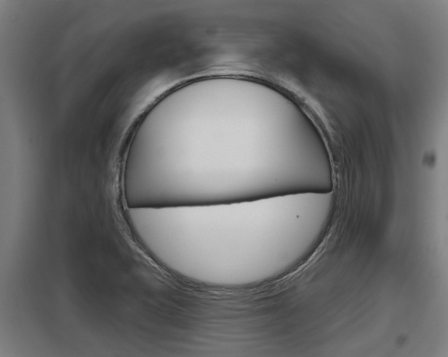 X0000098031415200803280720