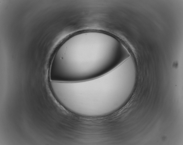 X0000098031416200803280720