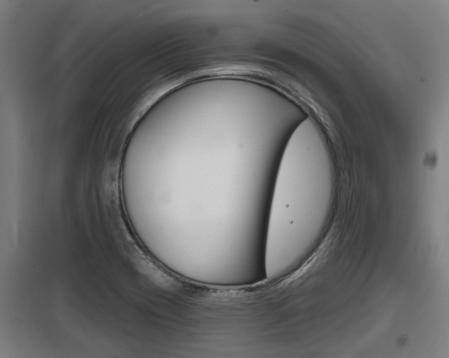 X0000098031417200803280720