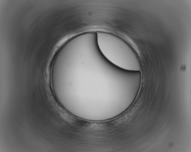 X0000098031419200803280720