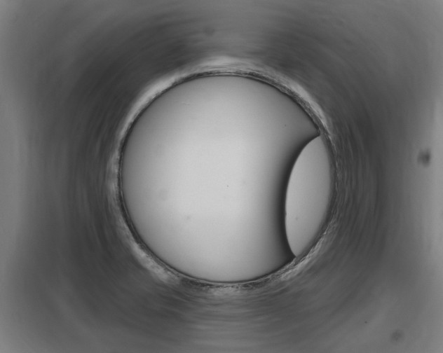 X0000098031421200803280720