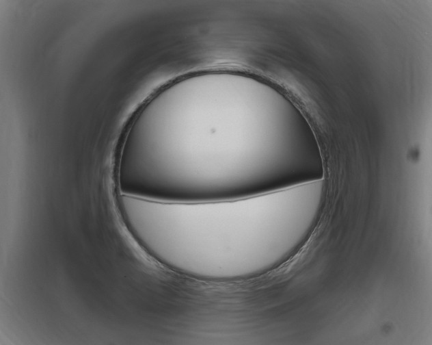 X0000098031422200803280720