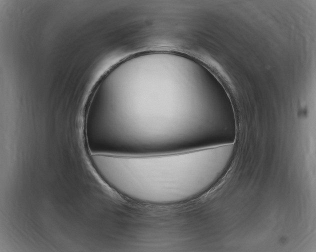 X0000098031424200803280720