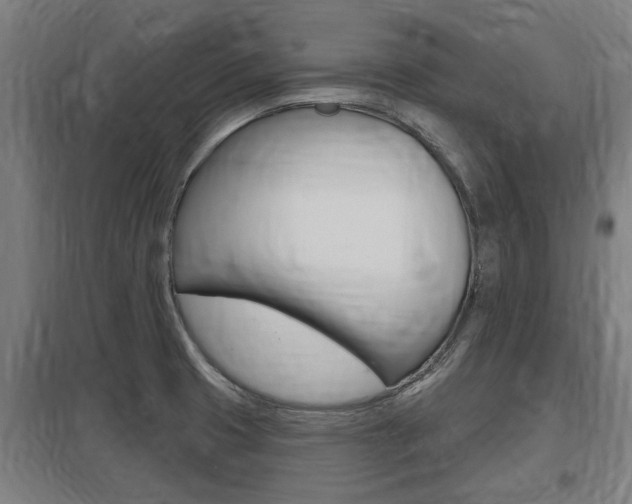 X0000098031425200803280720