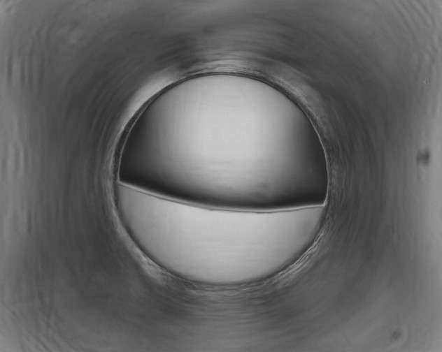 X0000098031426200803280720