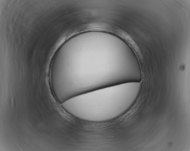 X0000098031427200803280720