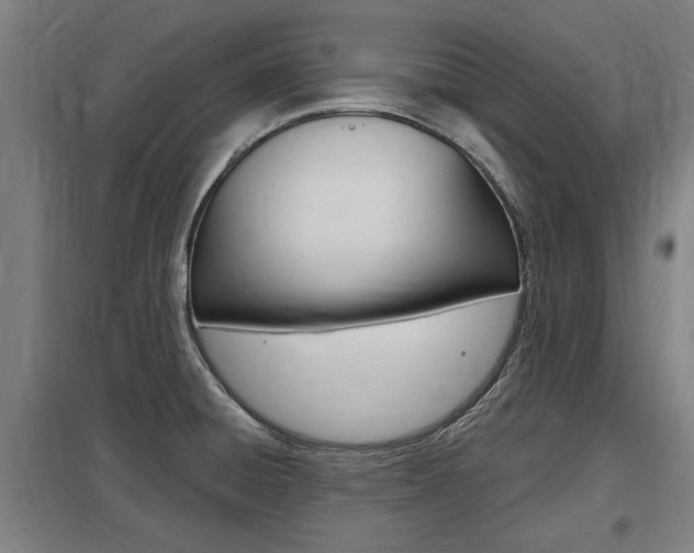 X0000098031428200803280720