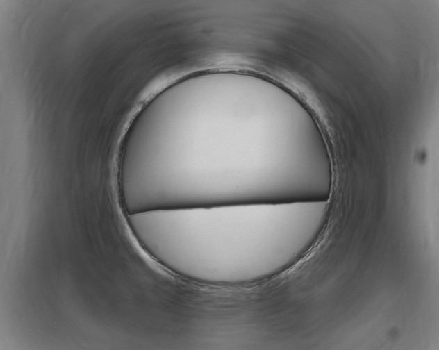 X0000098031429200803280720
