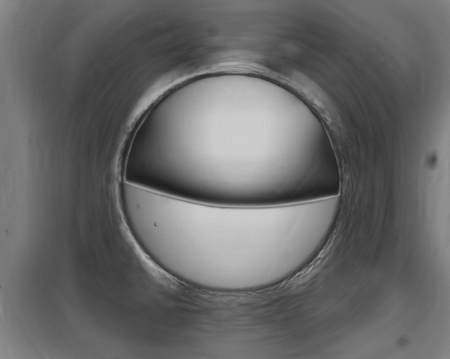 X0000098031430200803280720