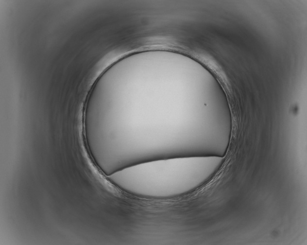X0000098031431200803280720