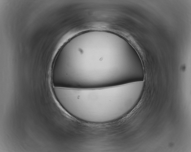 X0000098031432200803280720