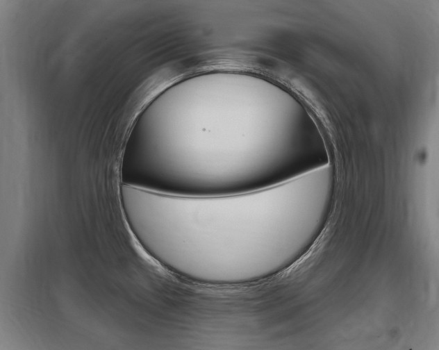 X0000098031433200803280720