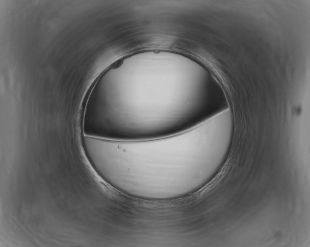 X0000098031434200803280720