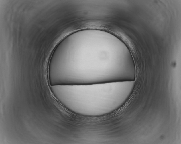X0000098031435200803280720
