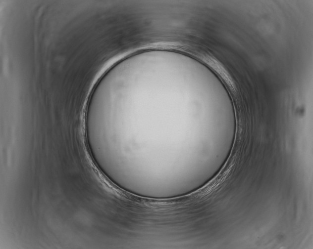 X0000098031436200803280720