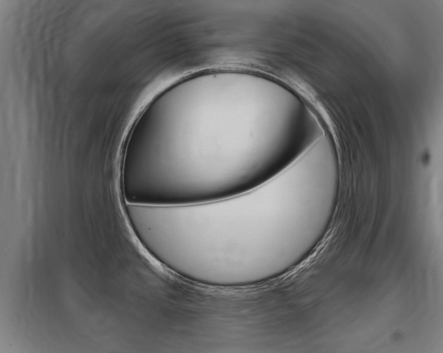 X0000098031437200803280720