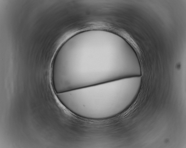 X0000098031439200803280720
