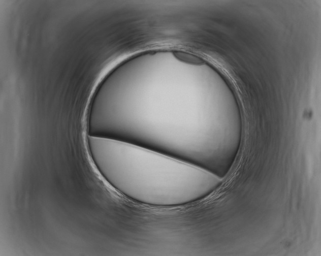 X0000098031440200803280720