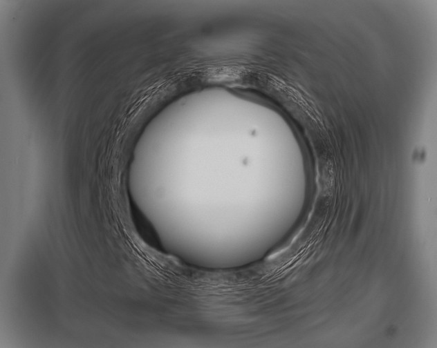 X0000098031441200803280719