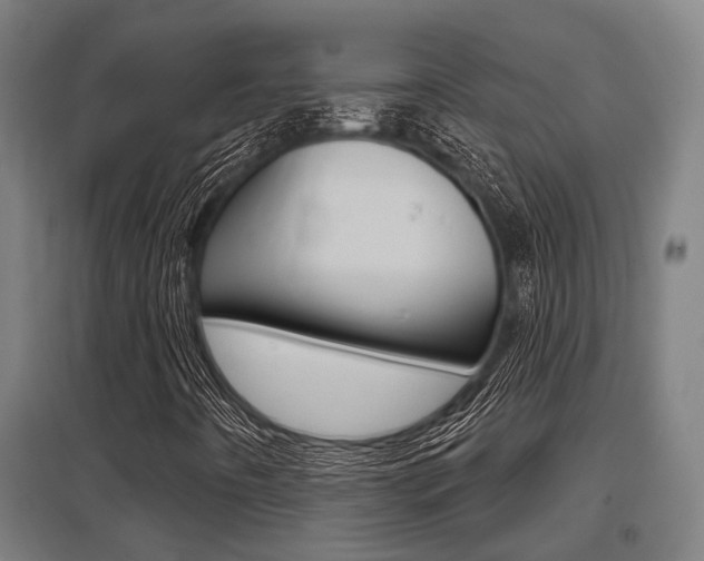 X0000098031442200803280719