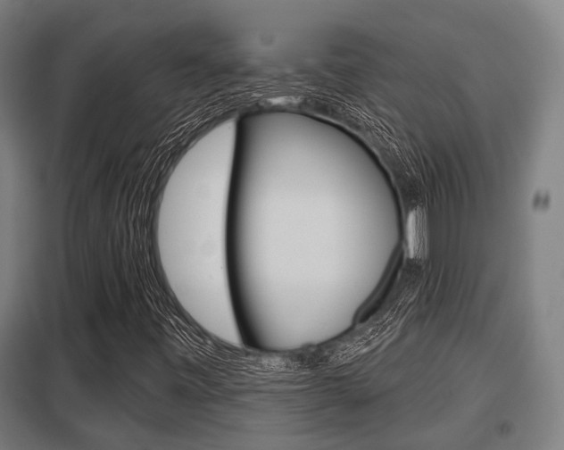 X0000098031443200803280719