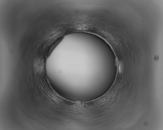 X0000098031444200803280719