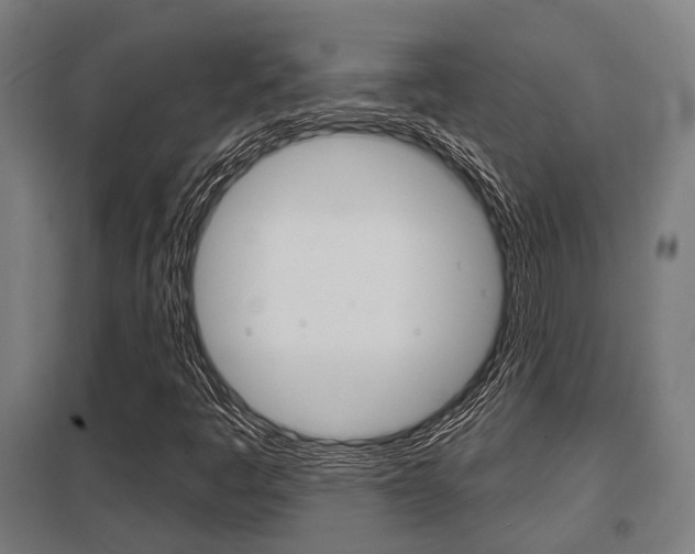 X0000098031445200803280719